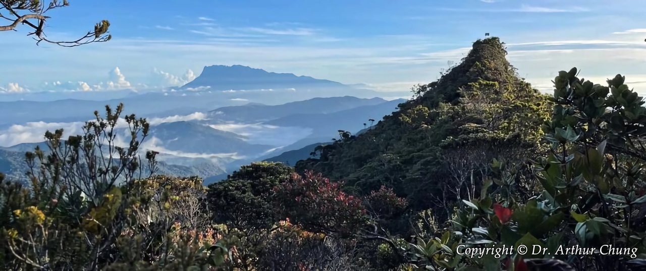 A clear-weather shot of the Mount Sinsing peak, with the majestic Mount Kinabalu visible in the background. Photo courtesy of Dr. Arthur Chung.