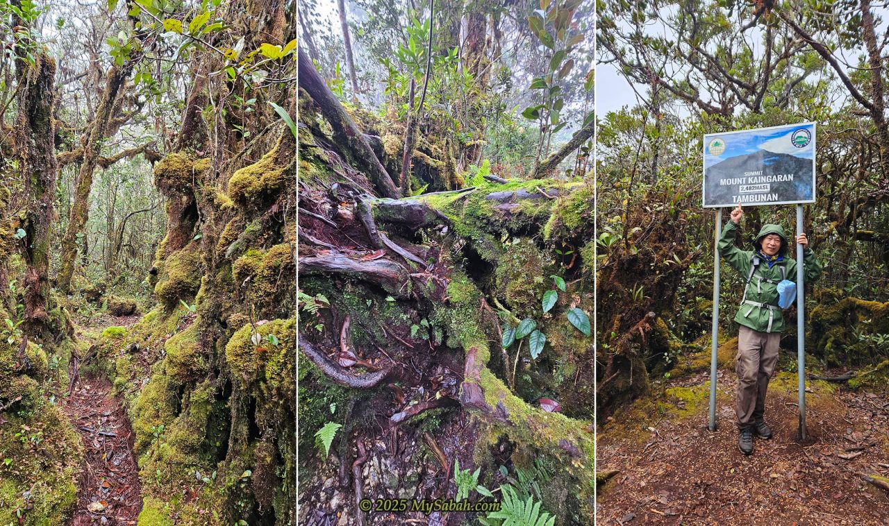 The last 1.7 Km trail to the peak of Mount Kaingaran