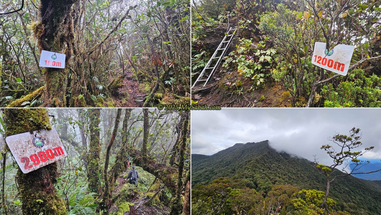 Summit trail of Sinkai