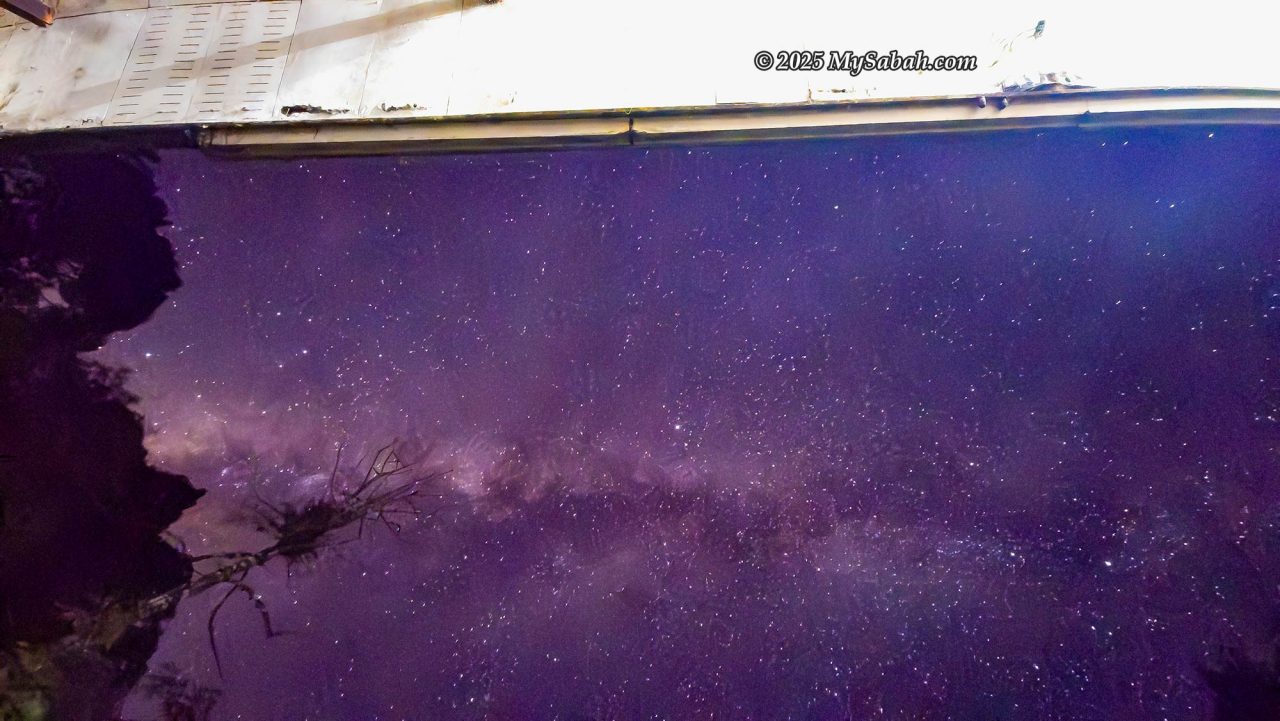 Milky Way at Lucia Hostel