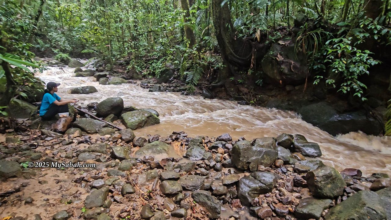 River rising after the rain