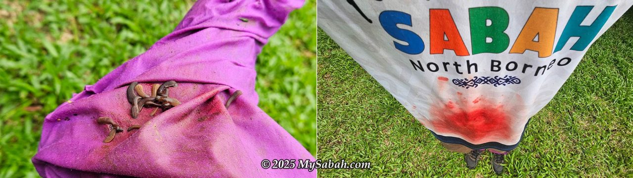 My anti-leech socks successfully blocked many leeches, but some still left a few blood stains on the shirt.