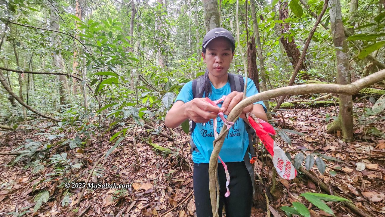Mountain guide busy labeling the parts of the trail that were missing markers.