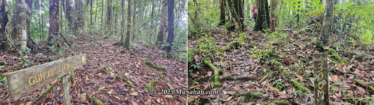Junction to the peak of Mount Lucia