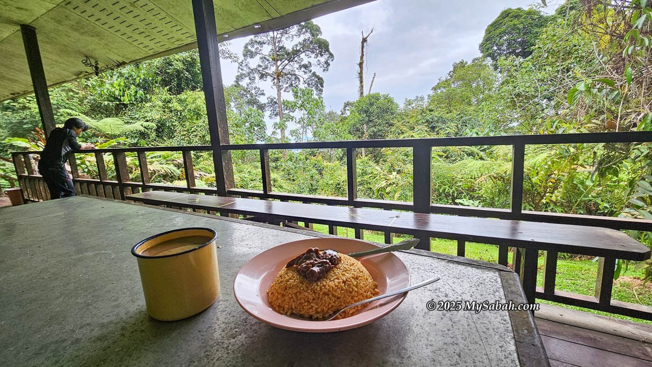 Breakfast with a beautiful jungle view at Lucia Hostel