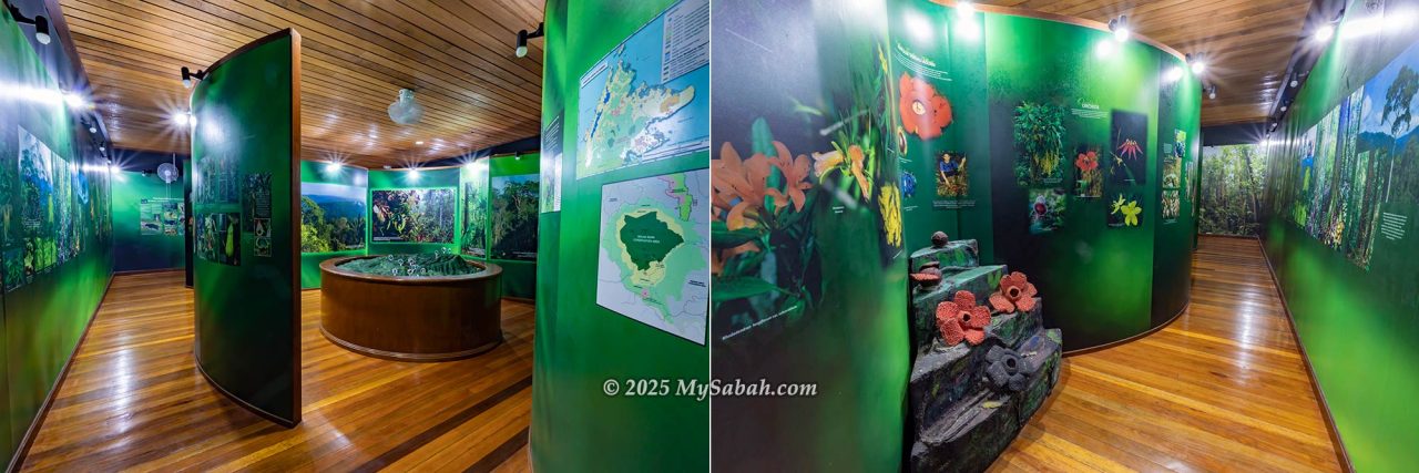Maliau Nature Gallery