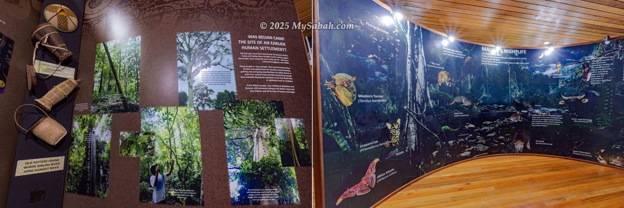 Maliau Nature Gallery