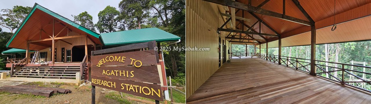 Agathis Research Station (Agathis Camp) 