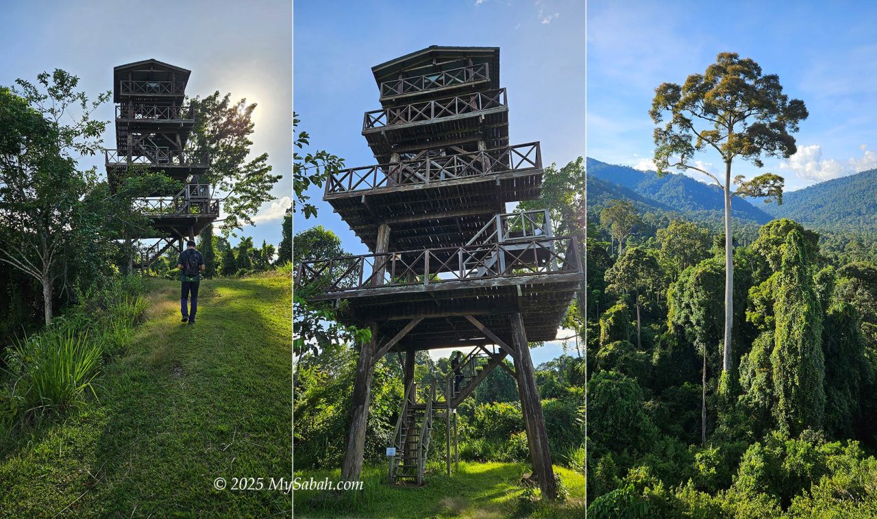 Maliau Rim Observation Tower