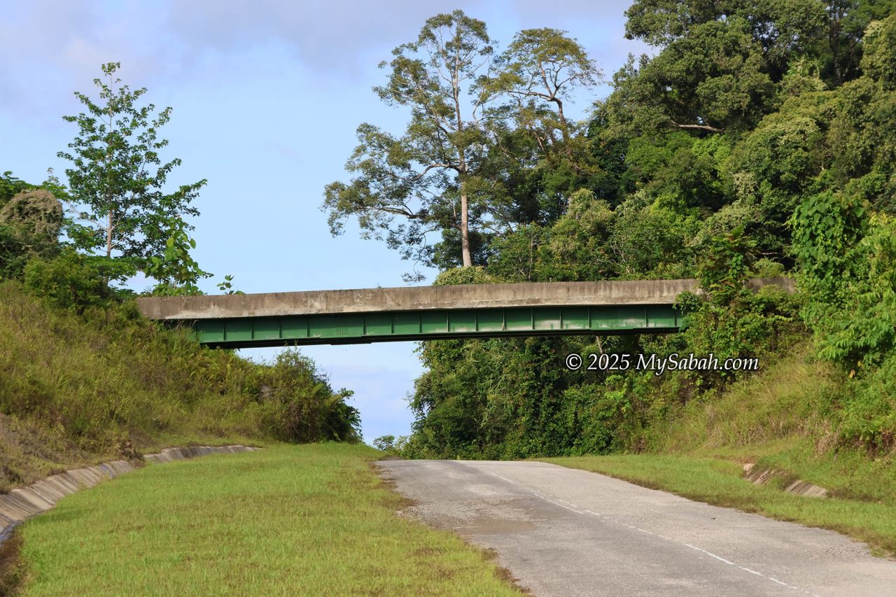 Overhead bridge for wildlife crossing.