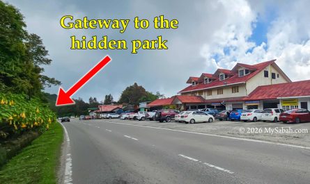 Junction to the Gunung Alab Substation