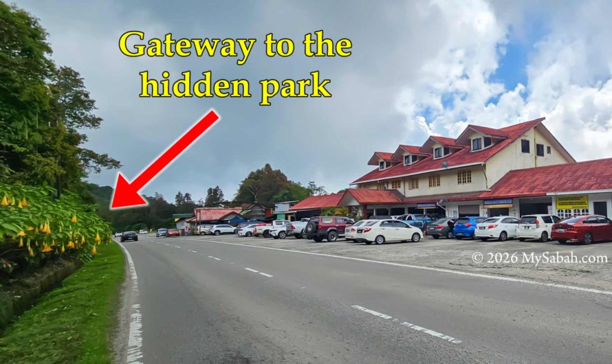 Gunung Alab (Mount Alab), a Secret Highland Park in the Mist