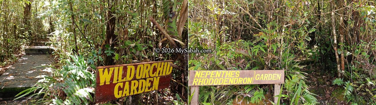 Entrance to Wild Orchid Garden (left) and Nepenthes and Rhododendron Garden (right).