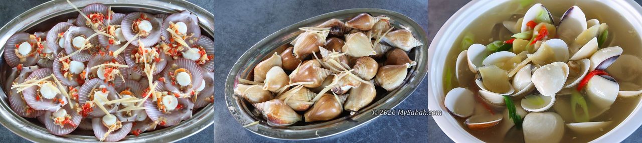 Left: Scallops. Middle: Dog conch (Siput Gonggong / 东风螺). Right: Sapak clam soup.