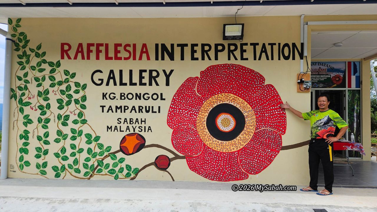 Rafflesia interpretation gallery, the starting point of the rafflesia tour