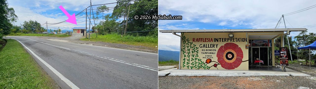 Mt Kinabalu Bongol Rafflesia Garden at the roadside