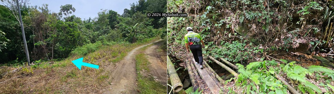 Entering the Kabayu Forest for the rafflesia flower.