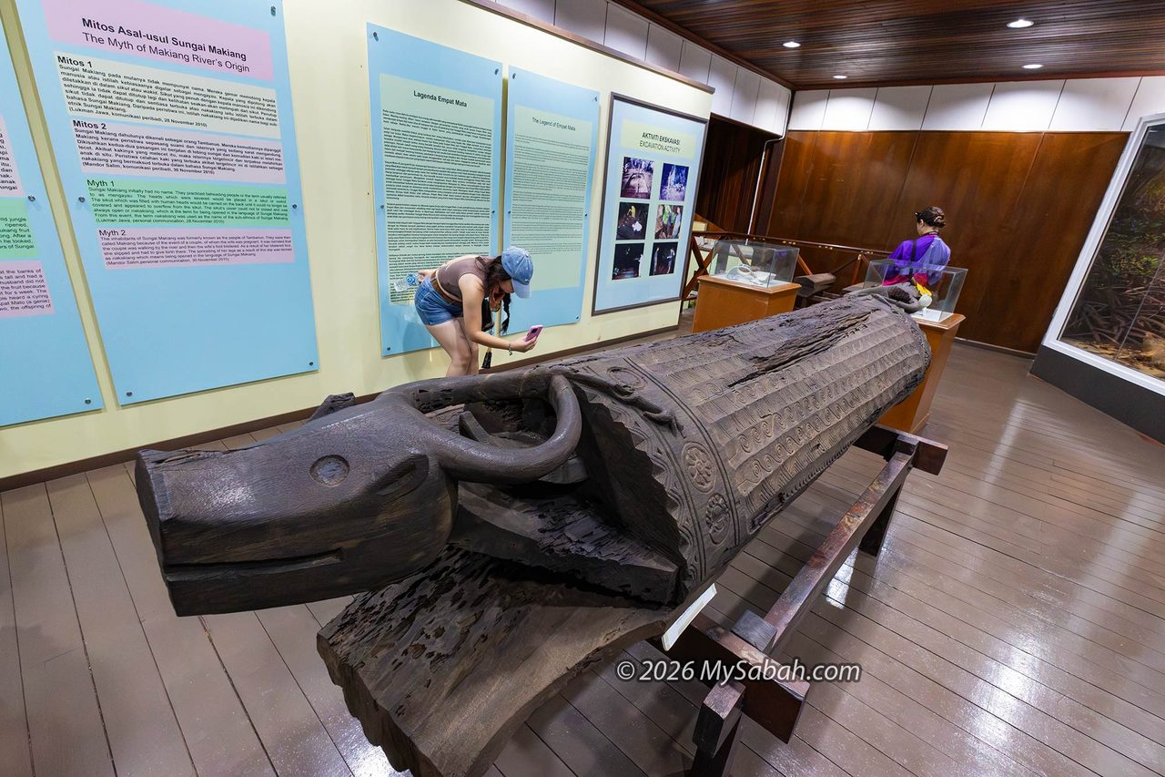 A buffalo-head coffin from the Miasias burial site