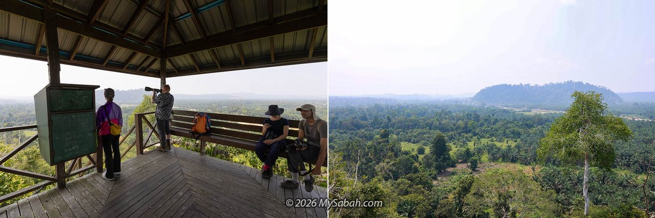 Left: Chilling under the shelter on the hilltop. Right: It's hazy, but the Kinabatangan River and distant iron bridge are still visible.