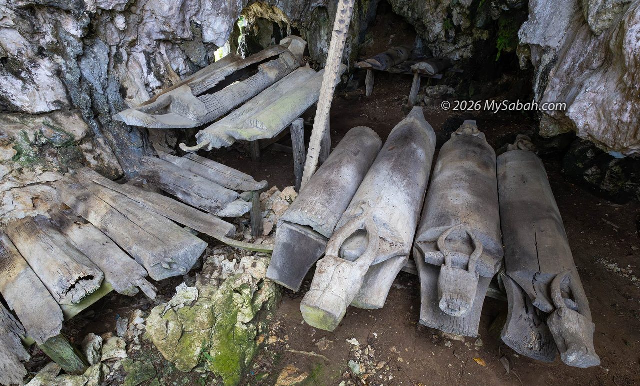 The log coffins in Agop Sawat cave usually belonged to upper-class figures, such as village heads and high-status individuals.