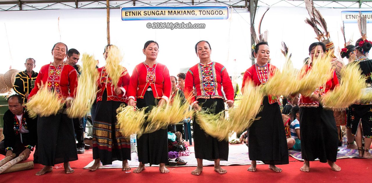Makiang people from Tongod