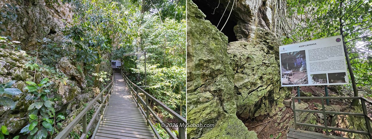 The elevated wooden boardwalk leading to Agop Lintanga (Middle Cave).